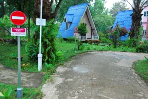 Baanraiingdoi - Image 2