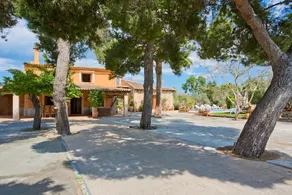 Villa Erika - Image 5