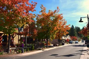 The Cuddle Inn: 2 BR / 1 BA hjem i Big Bear Lake, 4 sovepladser - Image 3