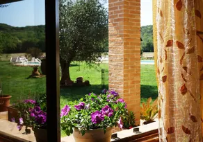 Agriturismo Sant Anna Quarter Horse - Image 5