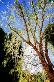 Avoca Valley Boutique B&B - Image 3