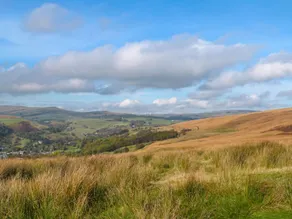 Colden Water - Image 4
