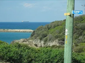 OceanView - Image 3