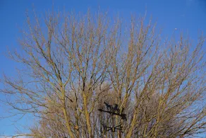 American Inn - Image 4