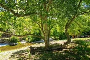 Camping Les Cerisiers Du Jaur - Image 3