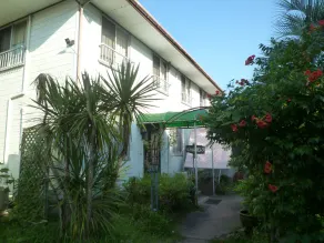 Pension Flora - Image 5