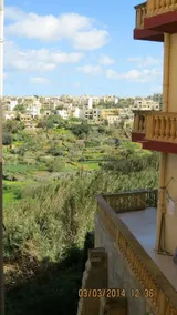 The Olive Gardens - Image 4