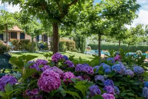 La Torre Apartments - Image 5