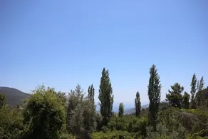 Villa Heves - Image 2