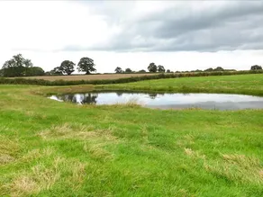 The Granary - Image 4