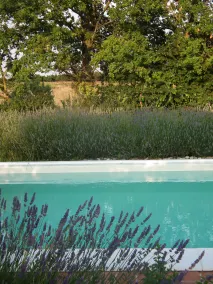 La casetta di Lu - Image 2