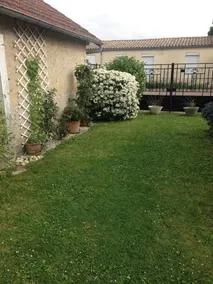 Les Hortensias - Image 4