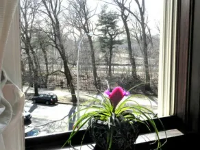 Parkside Bed and Breakfast - Image 3