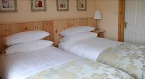 Coill An Rois - Image 3