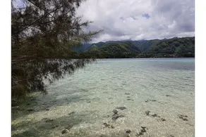 Motu Mapeti - Tahiti Private Island - Image 5