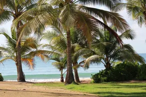 Relaxing Oceanfront and Pool View Villa in Palmas del Mar Cb228 - Image 4