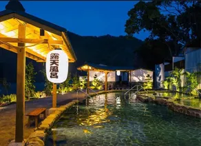 Shanze Bora Villa - Image 2