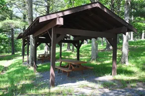 Piney Bear Cabin - Image 2