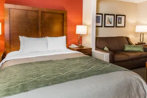 Comfort Inn Boston - Image 3