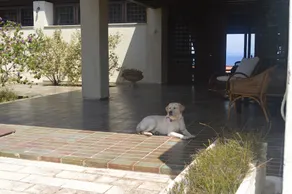 Villa Ammos Vasilikos Zakynthos - Image 4