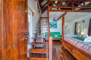 Green Parrot Beach Houses & Resort Belize - Image 4