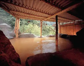 Yokoya Onsen Ryokan - Image 5