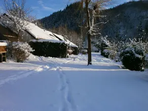 Cozy Holiday Home With Fire Place Close to Malmédy - Image 4