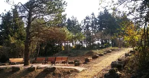 Jeju Youth Hostel - Image 5
