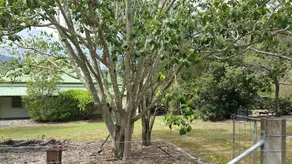 Karamea Homestead - Image 2