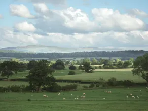 7 Gretton - Image 4