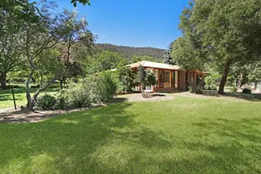 Merrivale Nut Groves - Image 3