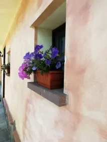 Da Patrizia - Image 5