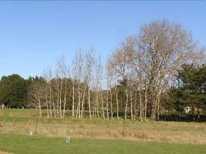 Auberge Woodend - Image 2
