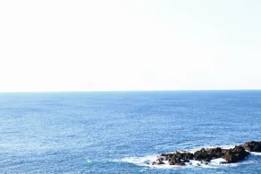 Shikishimaso - Image 4