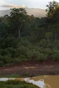 Serena Mountain Lodge - Image 3