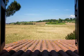Fattoria Casa Mia - Image 3