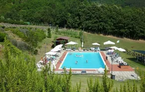 Vigneto Rimaggio - Image 2