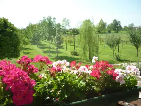 La Fonte - Image 5
