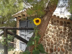 Casa Rural El Patas - Image 4
