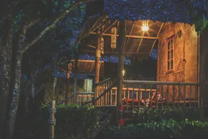 Bamboo Jungle Resort - Image 4