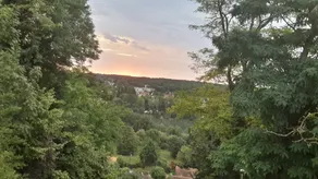Suirrel - Image 5
