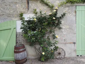 Maison Jarso - Image 5