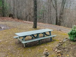 Wild Cat - 2 Br Cabin - Image 2