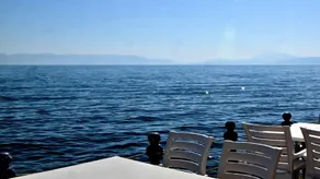 Kilic Balik & Otel - Image 4