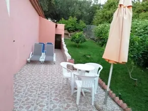 Effi House - Image 4