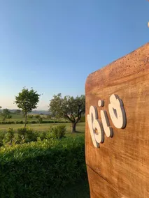 Agriturismo I Mori - Image 3