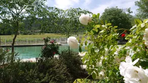 Chateau Nestuby - Image 2