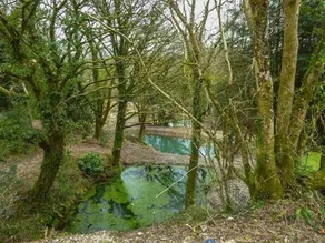 The Barn - Image 3