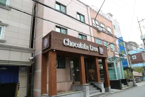 Chocolate Tree - Image 3