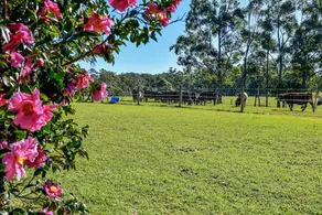Curra Homestead Maleny - Image 3